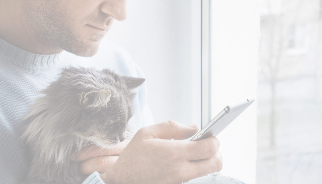 Man with cat checking in on phone
