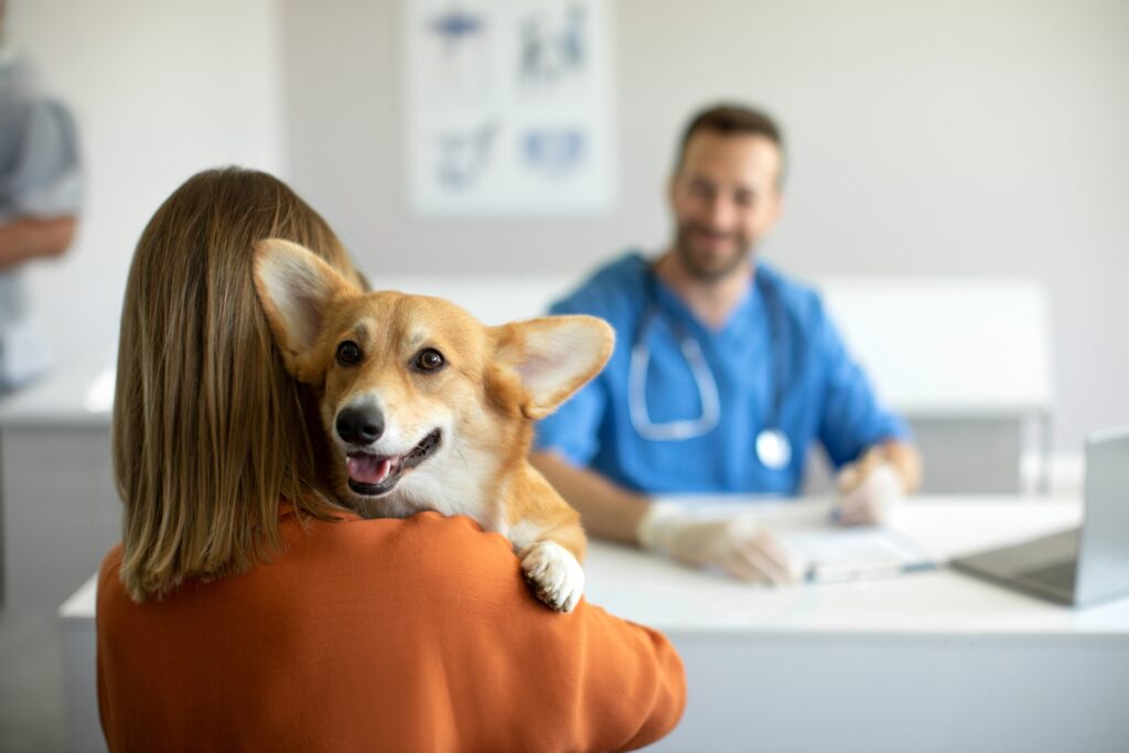 veterinary client communication