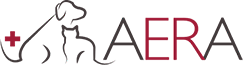 aera logo small